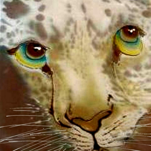 Meet your Posher, Dian - Picture 4 of 14